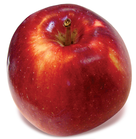 Lyman Sampler Deluxe – Lyman Orchards