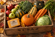 Fall Holiday Share 2026 | Select Ship At Checkout
