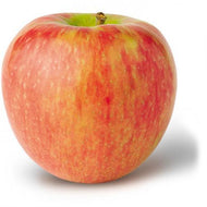 Honeycrisp