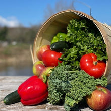 CSA Farm Share Signup 2024   Prices range by share size (Full $775  Medium $545  Biweekly $340 Harvest $340) Choice of pickup Day